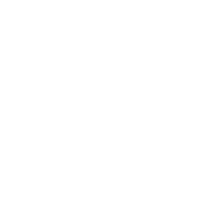 ELECTRIFIED RAILWAY CONTACT NETWORKS​​​​​​​