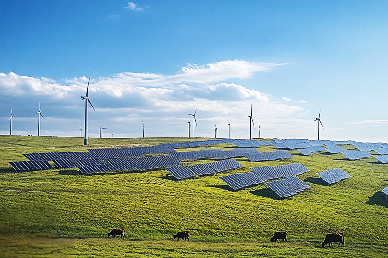 Renewable Energy Grid Integration Solutions