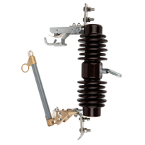 11kv Porcelain Breaking Fault Current Fuse Cutout