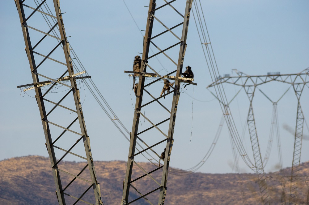 AfDB approves loan for second phase of power transmission project in Madagascar