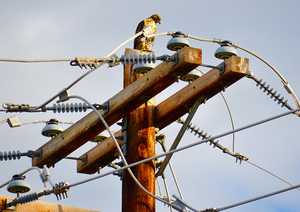 birds-on-transmission-lines-1.jpg