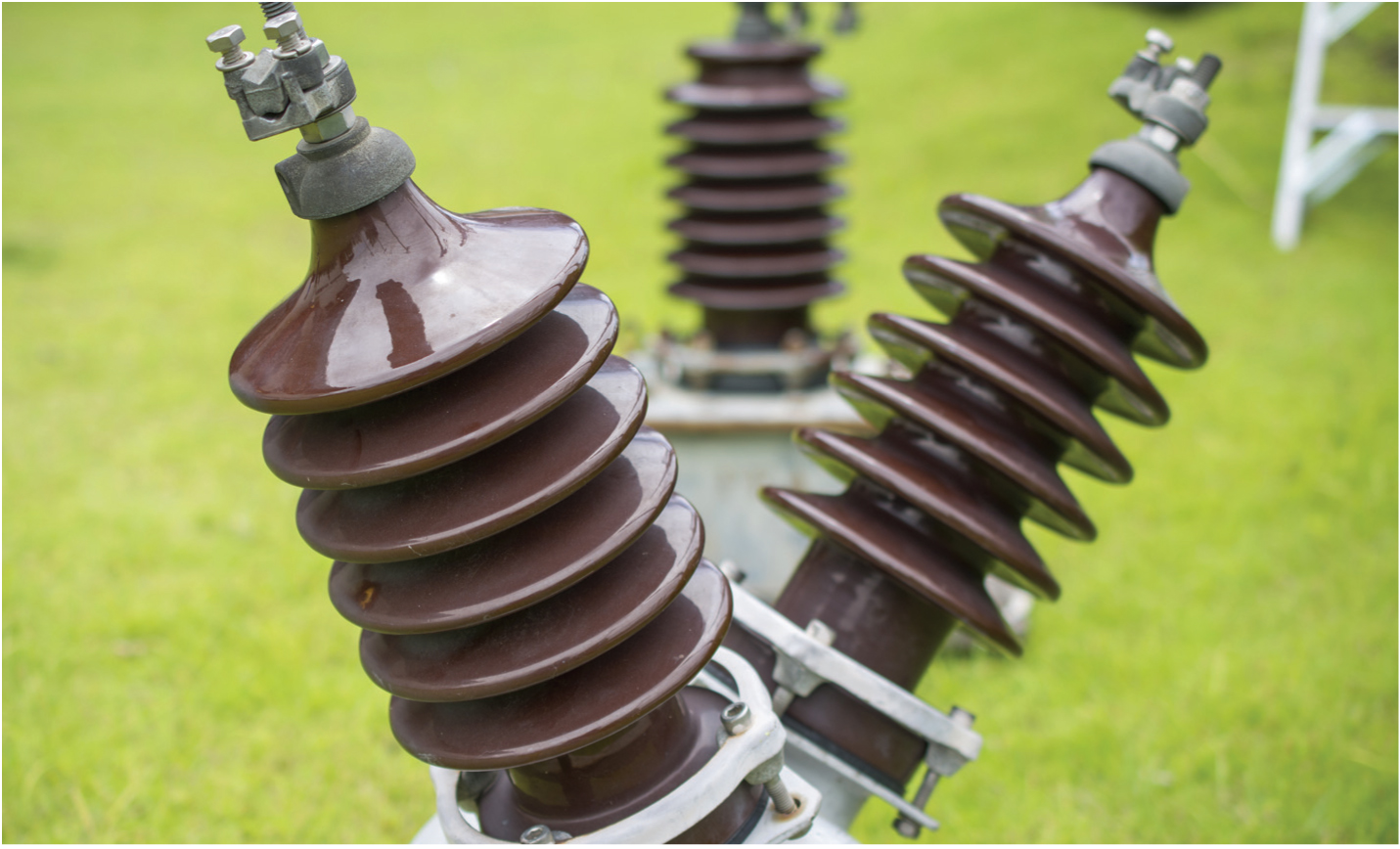 silicone‑housed composite