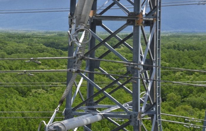 Experience with Composite Insulators on Transmission Lines in Australia