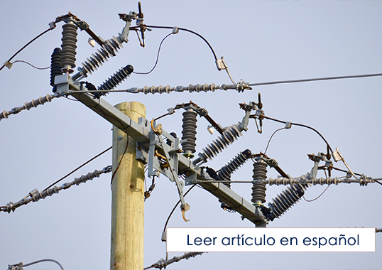 Why buy a lightning arrester?